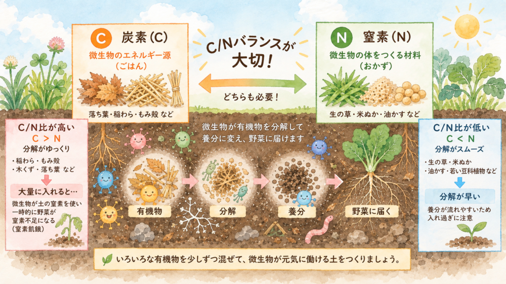 2-3 微生物のエサ CN比