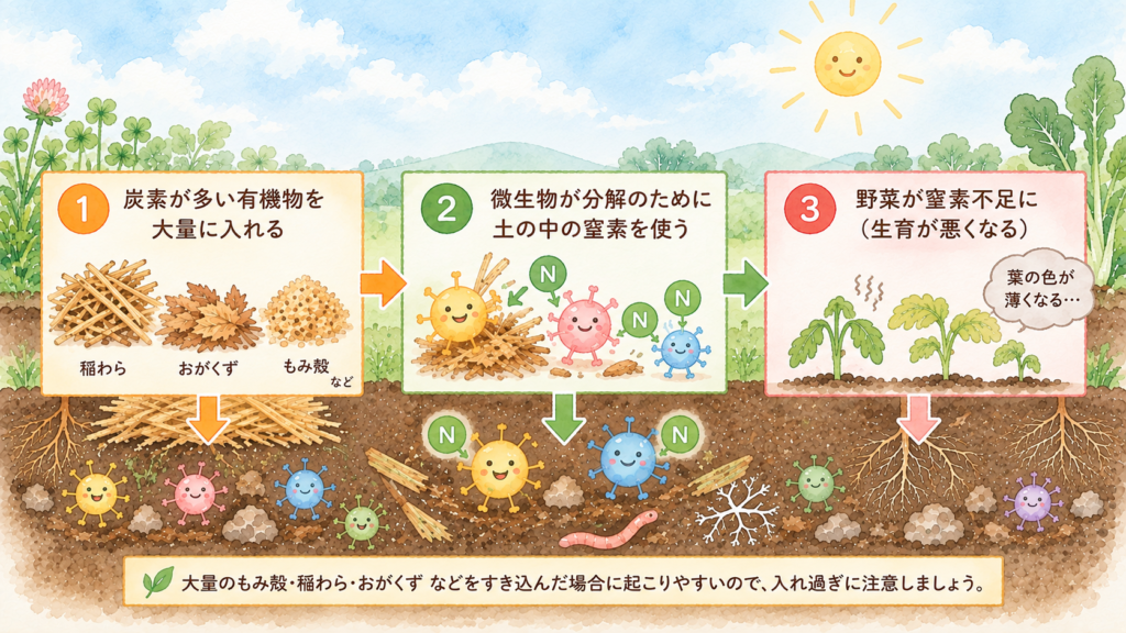 2-3 微生物のエサ 窒素飢餓
